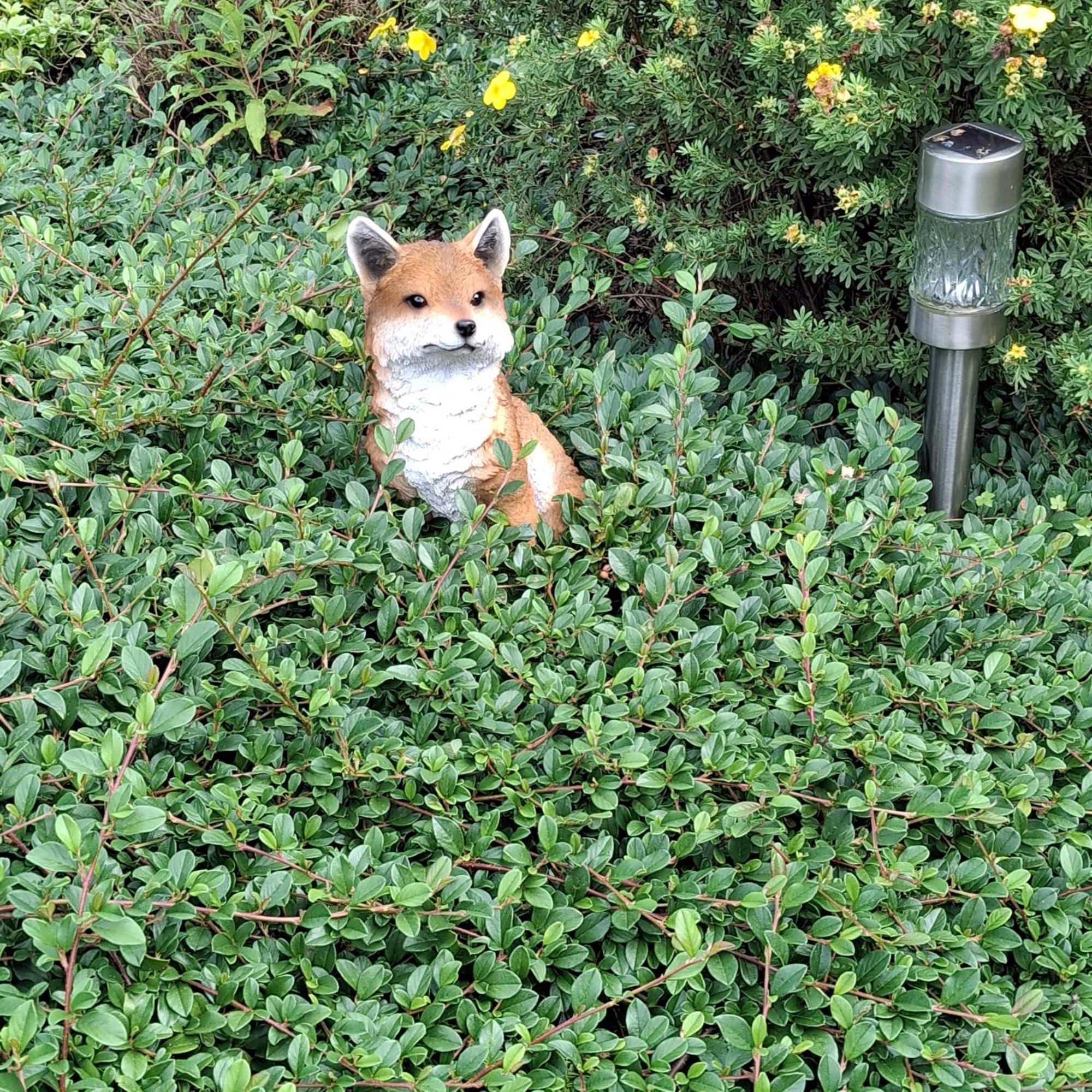 לינה וארוחת בוקר טרואה פונטס Le Renard'Or מראה חיצוני תמונה